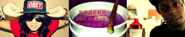 ГАЛЛЮЦИНОГЕННЫЕ ГРИБЫ Алзамай