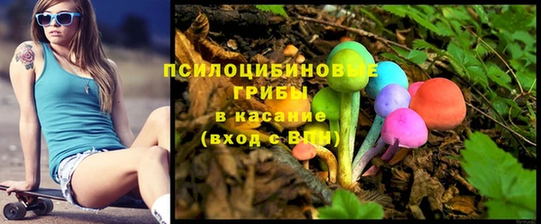 гидра Алексин