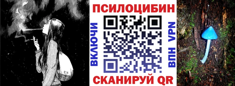 blacksprut ТОР дарк нет наркотические препараты Галлюциногенные грибы мицелий закладки Евпатория