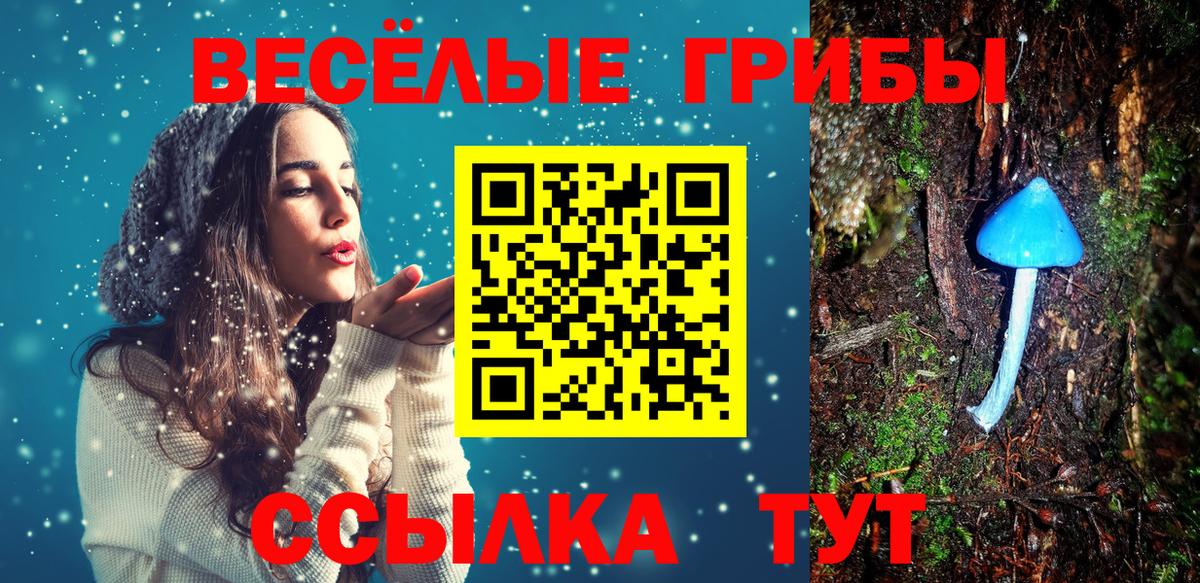 Галлюциногенные грибы Psilocybe  даркнет сайт  Евпатория  Вход с VPN 